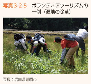 写真3-2-5　ボランティアツーリズムの一例（湿地の除草）