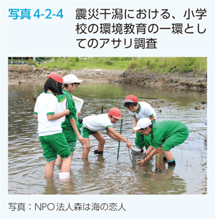 写真4-2-4　震災干潟における、小学校の環境教育の一環としてのアサリ調査