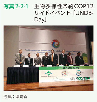 写真2-2-1　生物多様性条約COP12サイドイベント「UNDBDay」