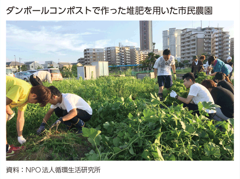 ダンボールコンポストで作った堆肥を用いた市民農園