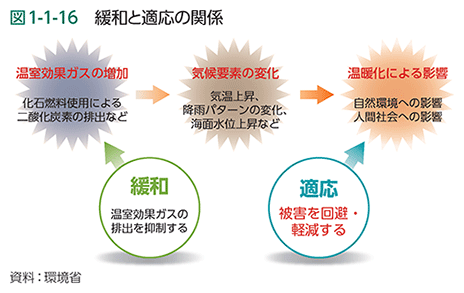 図1-1-16　緩和と適応の関係