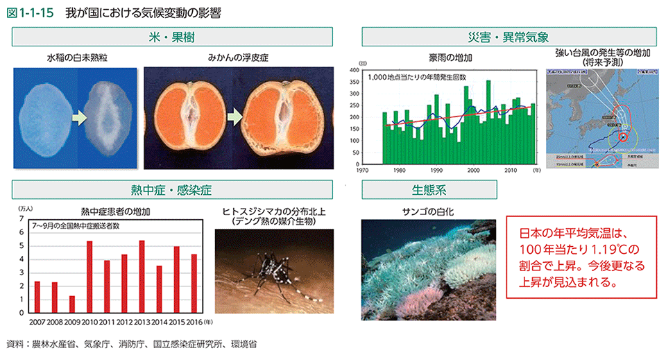 図1-1-15　我が国における気候変動の影響