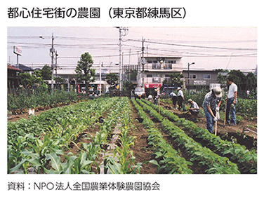 都心住宅街の農園（東京都練馬区）