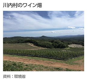 川内村のワイン畑