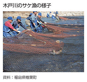 木戸川のサケ漁の様子