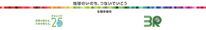平成23年版環境白書表紙絵コンクール