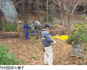 コラム16	写真	竹材回収の様子