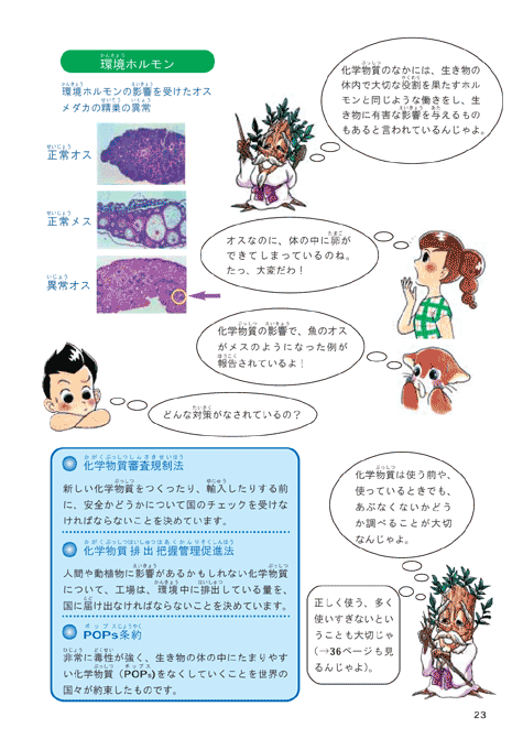 平成１５年版子ども環境白書（２１世紀、どんな環境問題があるの？：化学物質って何が問題なの？）