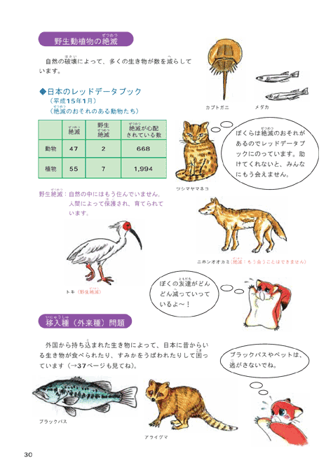 平成１５年版子ども環境白書（２１世紀、どんな環境問題があるの？：大切な自然がこわされています）