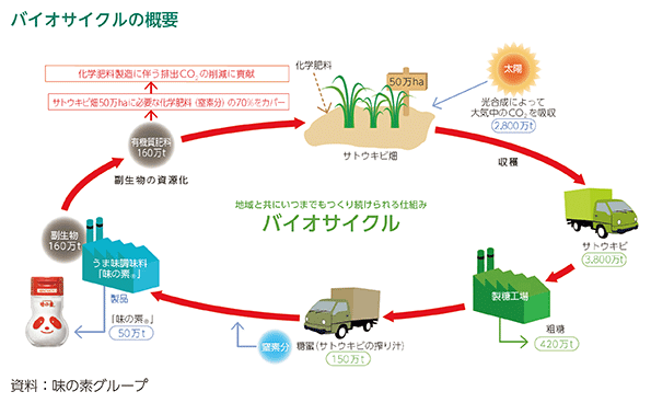 バイオサイクルの概要