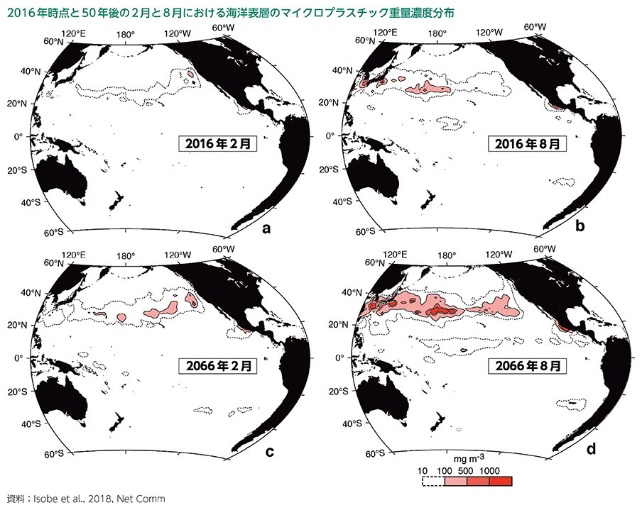 2016年時点と50年後の2月と8月における海洋表層のマイクロプラスチック重量濃度分布