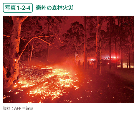 写真1-2-4　豪州の森林火災