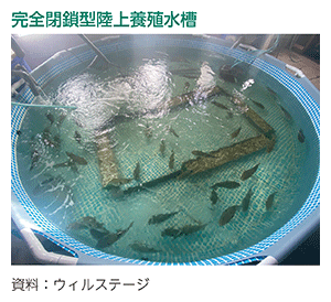 完全閉鎖型陸上養殖水槽