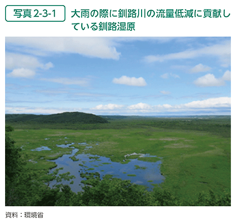 写真2-3-1　大雨の際に釧路川の流量低減に貢献している釧路湿原