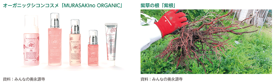 オーガニックシコンコスメ「MURASAKIno ORGANIC」、紫草の根「紫根」
