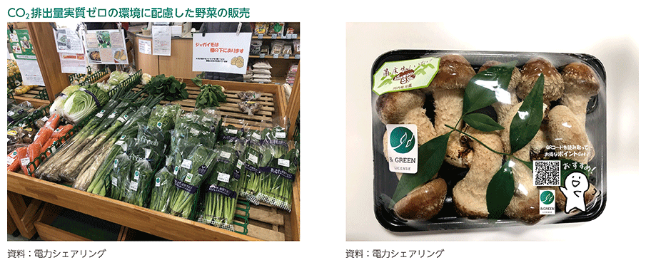 CO2排出量実質ゼロの環境に配慮した野菜の販売