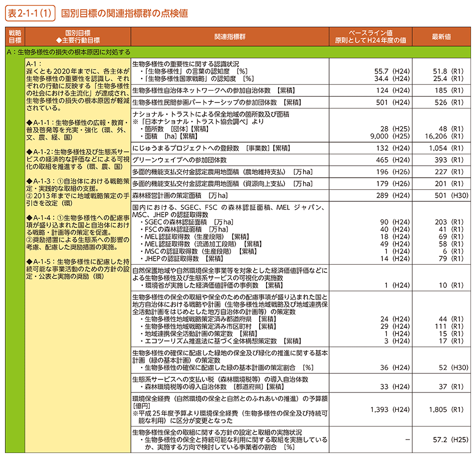 表2-1-1（1）　国別目標の関連指標群の点検値