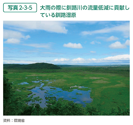 写真2-3-5　大雨の際に釧路川の流量低減に貢献している釧路湿原