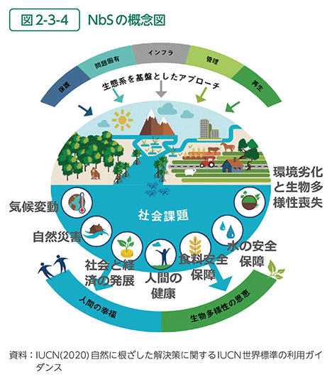 図2-3-4　NbSの概念図