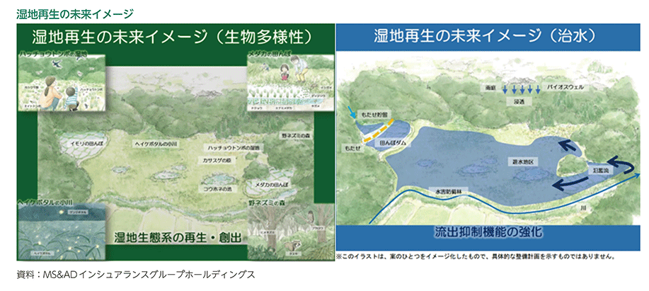 湿地再生の未来イメージ