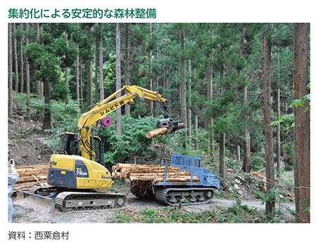 集約化による安定的な森林整備
