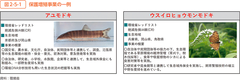 図2-5-1　保護増殖事業の一例