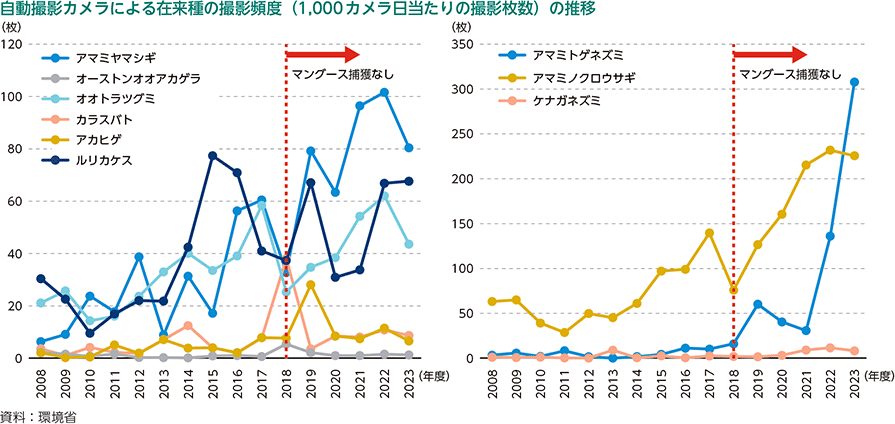 自動撮影カメラによる在来種の撮影頻度（1,000カメラ日当たりの撮影枚数）の推移