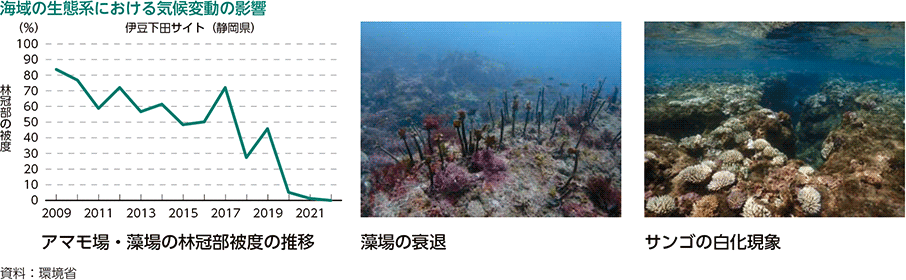 海域の生態系における気候変動の影響