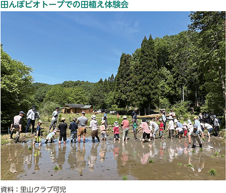 田んぼビオトープでの田植え体験会