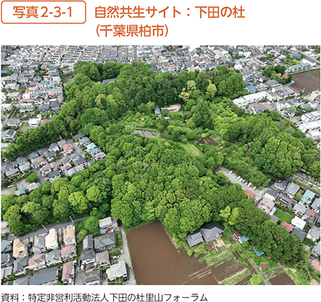 写真2-3-1 自然共生サイト:下田の杜(千葉県柏市)