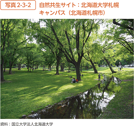 写真2-3-2 自然共生サイト:北海道大学札幌キャンパス(北海道札幌市)