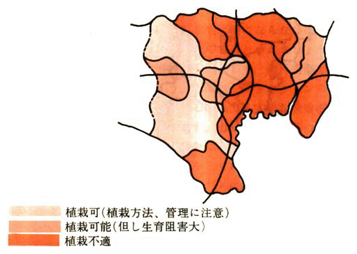 東京都内の植栽適否状況 （エゴノキ，クリ，アジサイ）