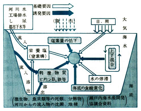 赤潮発生機構図