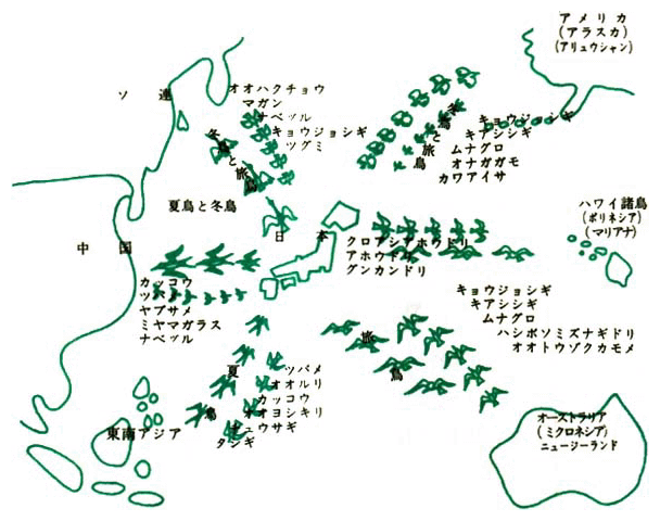 渡り鳥とその移動図