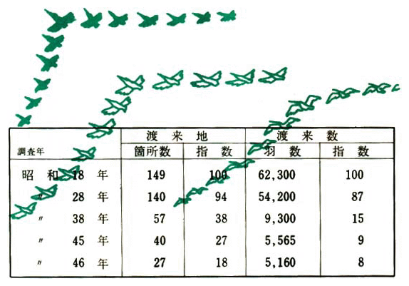 ガン類の渡来状況