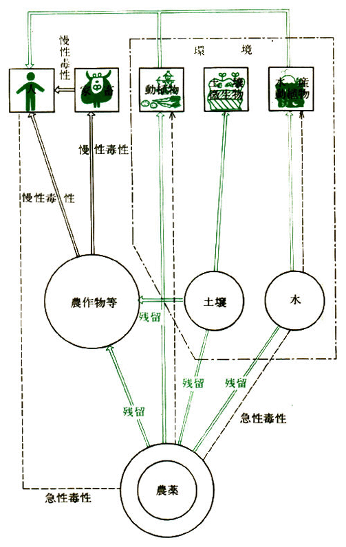 残留農薬の循環経路