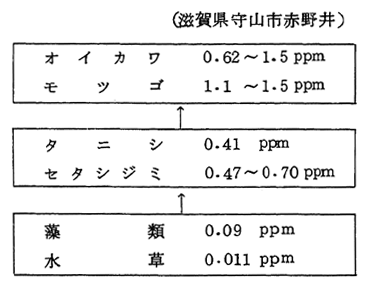 PCBの生物濃縮傾向