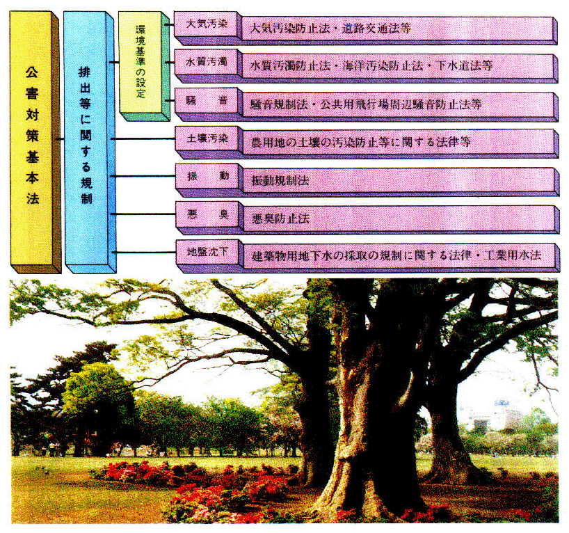 ●主な公害関係法の体系