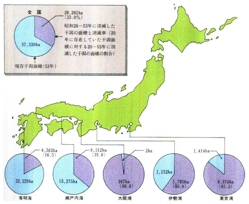 ●干潟の分布・消滅状況