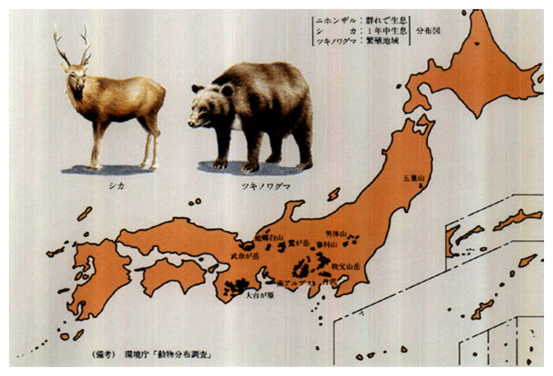 ●ニホンザル・シカ・ツキノワグマ重複生息域