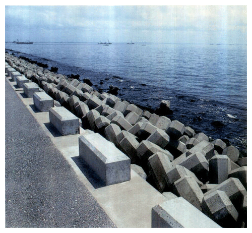 千葉県行徳付近の海岸