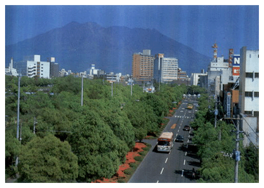 鹿児島市グリーンストーム作戦・昭和57年