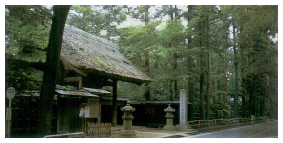 都市周辺の平地林は私たちの生活に潤いと安らぎをあたえてくれる　埼玉県新座市の平林寺周辺