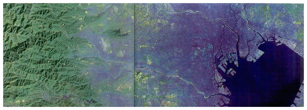 人工衛星から見た東京（ランドサット5号による観測データをカラー合成したもの）