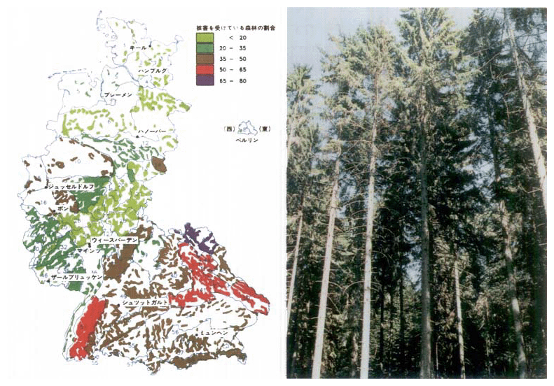 西ドイツにおける森林被害（58年）