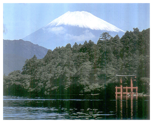 指定50周年を迎えた富士箱根伊豆国立公園