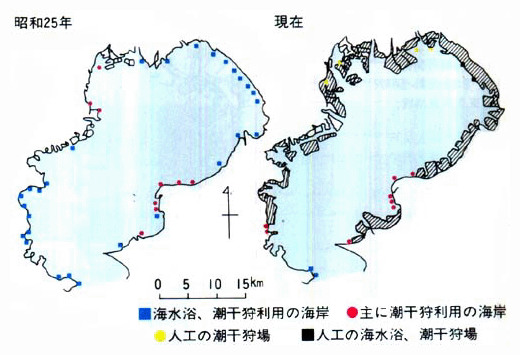 ■東京湾における海水浴場、潮干狩場の変遷