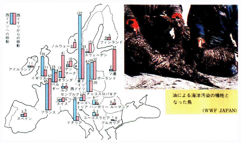 ■西ドイツの各国との二酸化硫黄の越境収支（1984年）