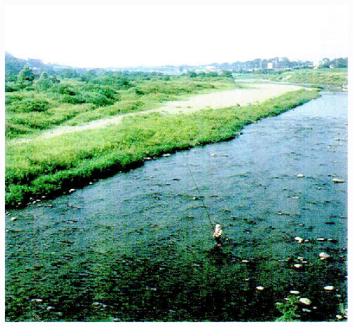 自然の水際線（河川）