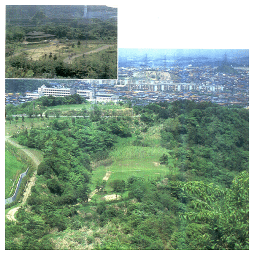 横浜市「自然観察の森」